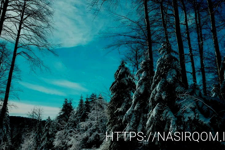 Welcome to Real Estate Canada: Your Gateway to Property Investment